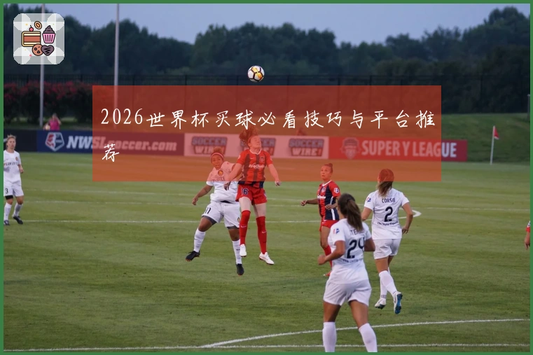 2026世界杯买球必看技巧与平台推荐