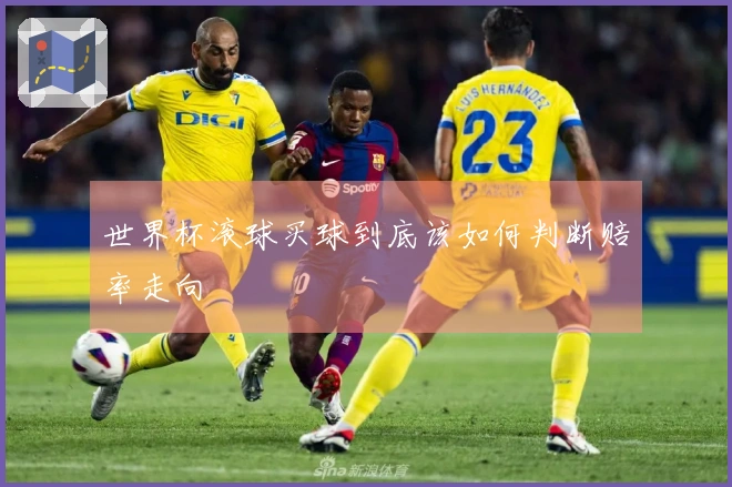 世界杯滚球买球到底该如何判断赔率走向