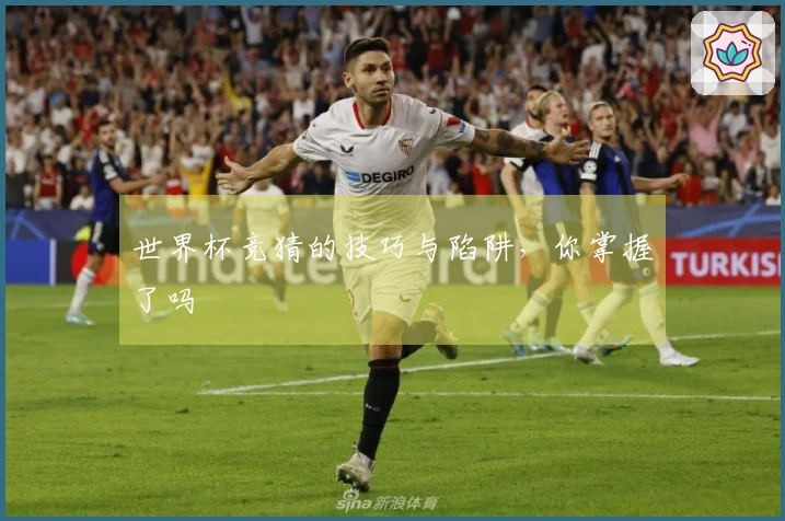 世界杯竞猜的技巧与陷阱，你掌握了吗