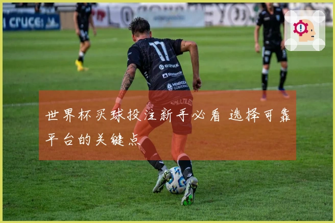 世界杯买球投注新手必看 选择可靠平台的关键点