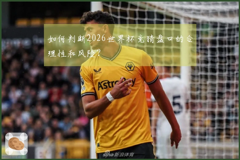 如何判断2026世界杯竞猜盘口的合理性和风险？