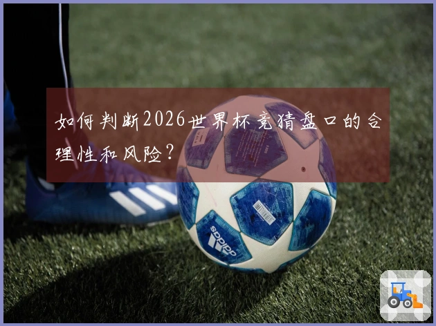 如何判断2026世界杯竞猜盘口的合理性和风险？