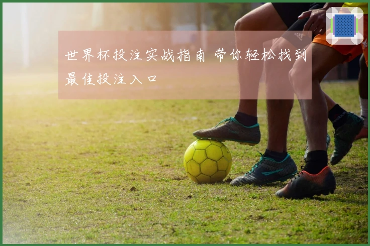 世界杯投注实战指南 带你轻松找到最佳投注入口